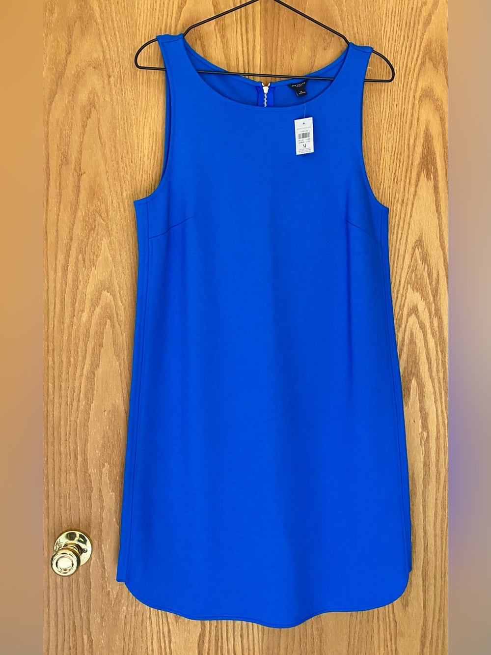 Ann Taylor Sleeveless Shift Dress NWT